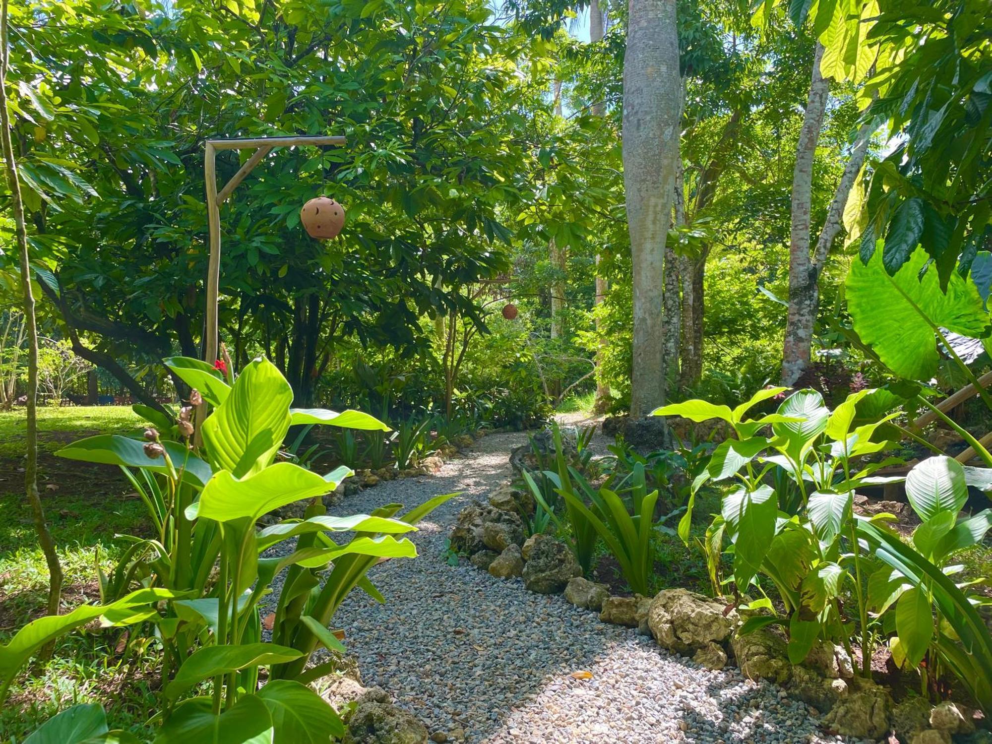 Rancho Romana Ecolodge Park V-01 El Limon Ngoại thất bức ảnh